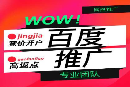成功案例解析：百度推广代理商助力企业增长